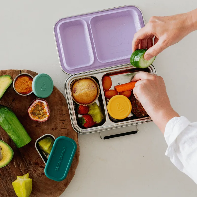 Bento Box Lunch Box Set