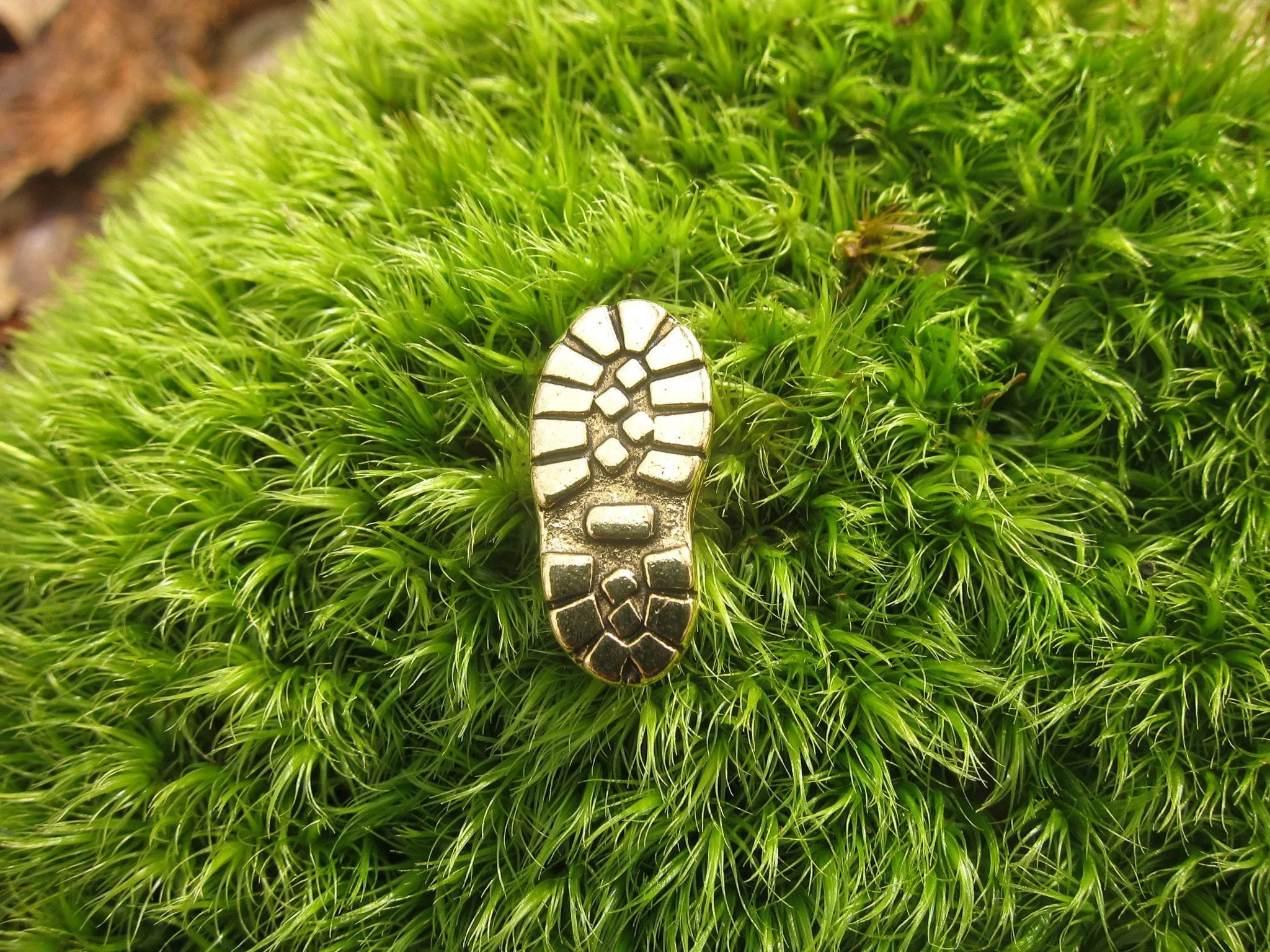 Hiking Boot Gold Lapel Pin