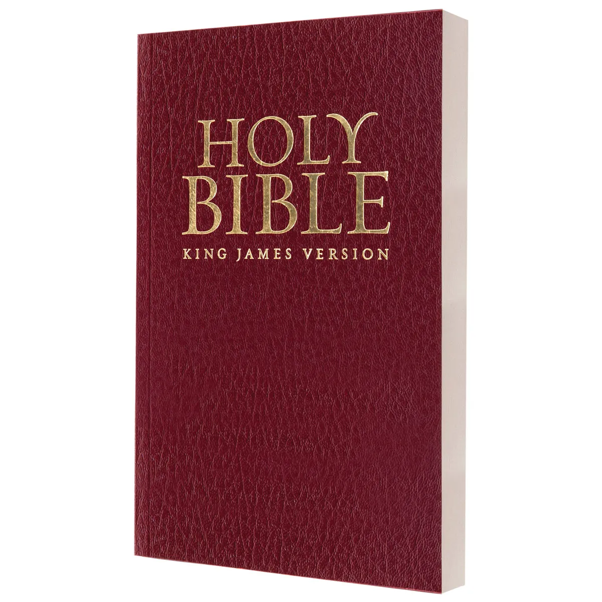 KJV Burgundy Faux Leather Gift Edition Bible