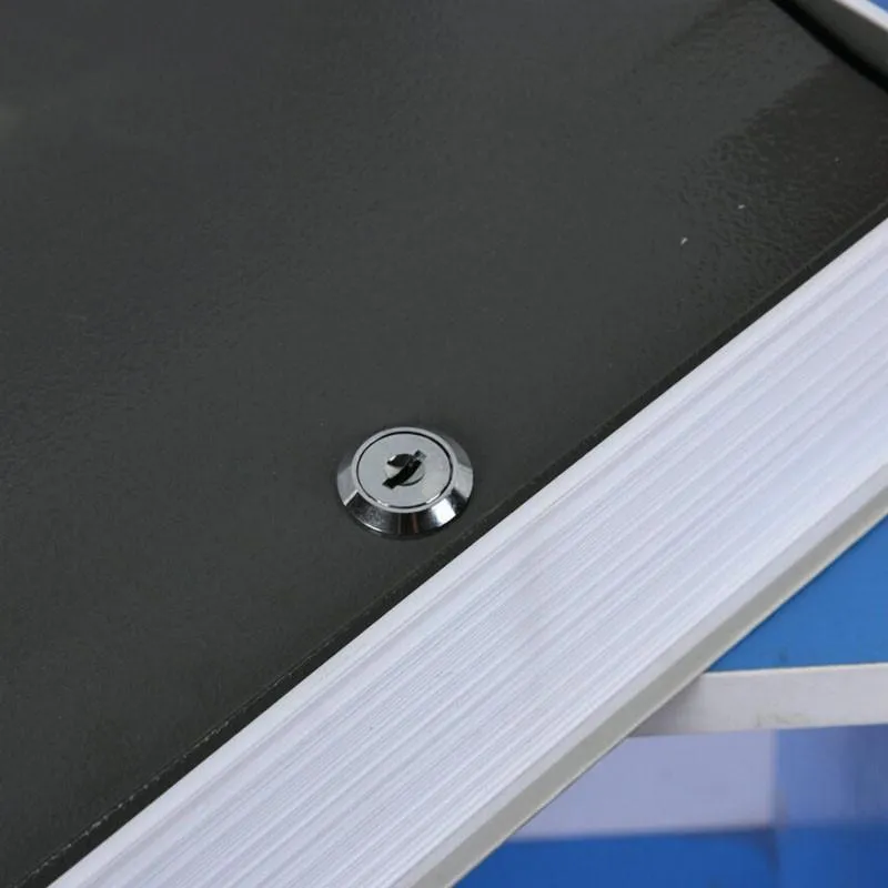 Secret Dictionary Book Safe